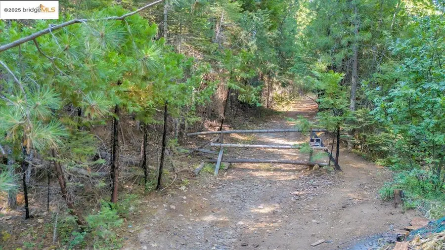 0 Fallen Leaf Ln, Twain Harte, CA 95383 - Image #3