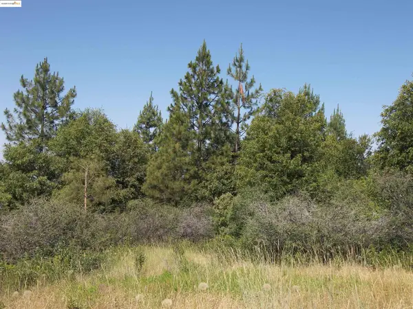 19290 Yosemite Springs Rd, Groveland, CA 95321