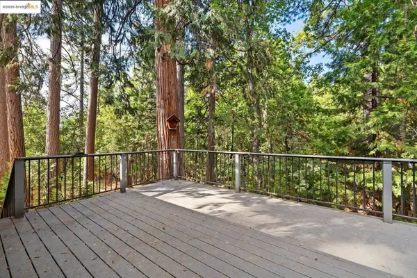 23718 Fremont Way, Twain Harte, CA 95383