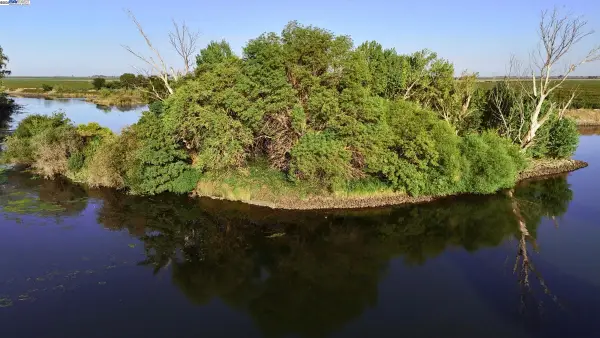 Goldrift Island, Byron, CA 94514