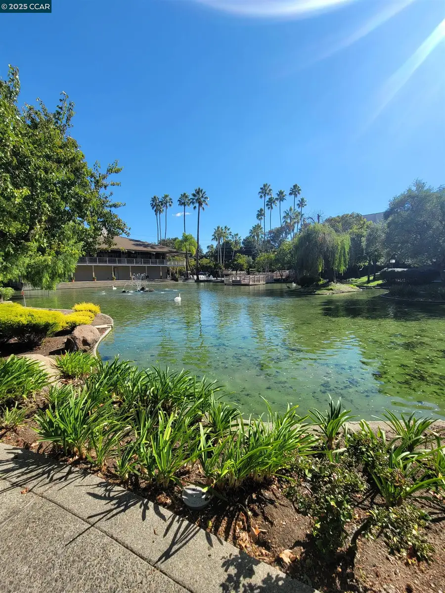 310 N Civic Dr. #315, Walnut Creek, CA 94597 - Image #2