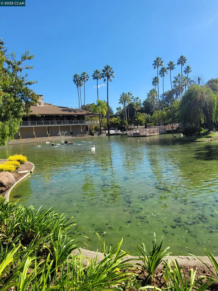 310 N Civic Dr. #315, Walnut Creek, CA 94597 - Image #3