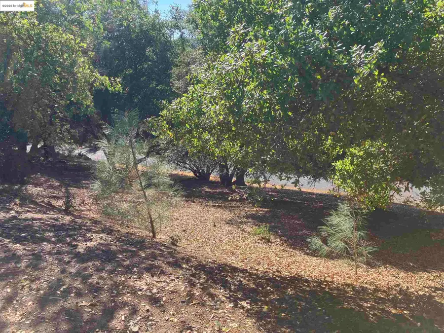 U5LOT8 Sean Patrick, Groveland, CA 95321 - #3