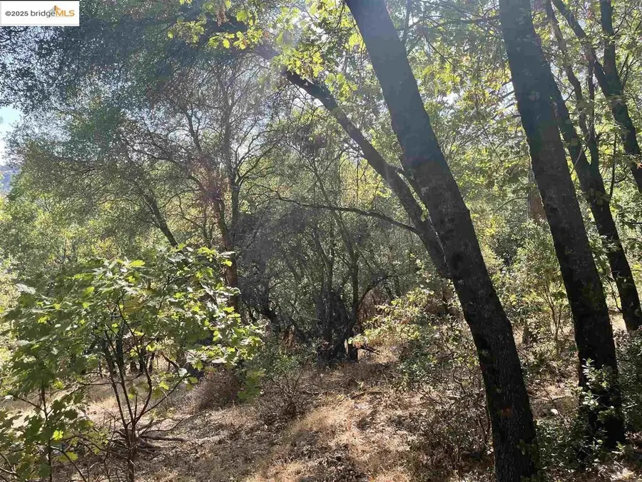 20714 Ponderosa Way, Tuolumne, CA 95379 - Image #2