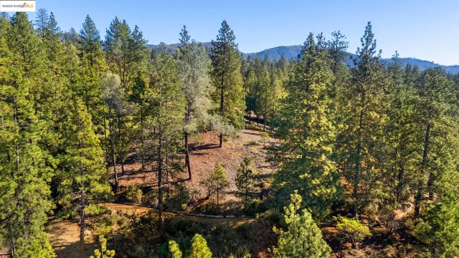 11210 Forest Park Rd, Columbia, CA 95310 - Image #2