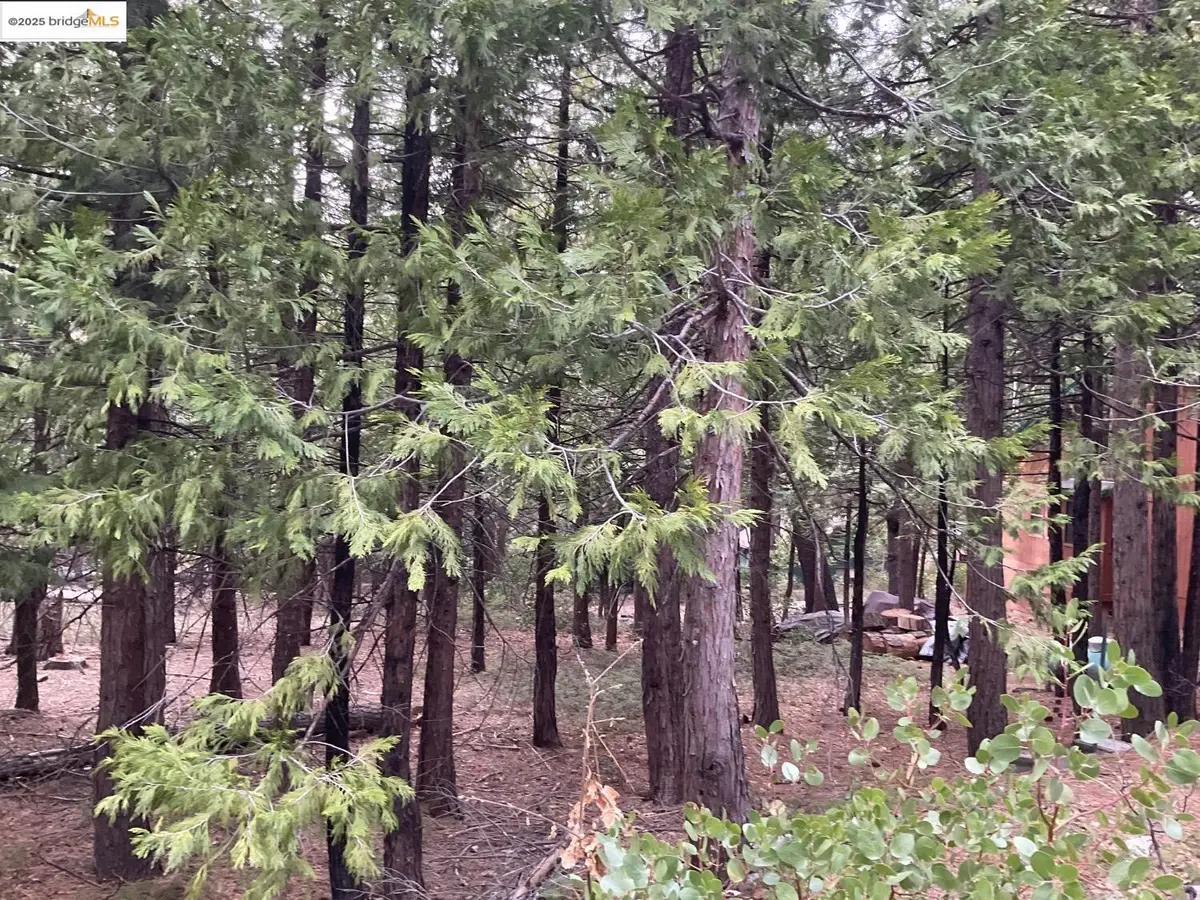 3471 Pocatello, Arnold, CA 95223 - Image #1