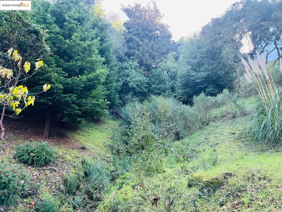 6622 Exeter Dr, Oakland, CA 94611 - #3