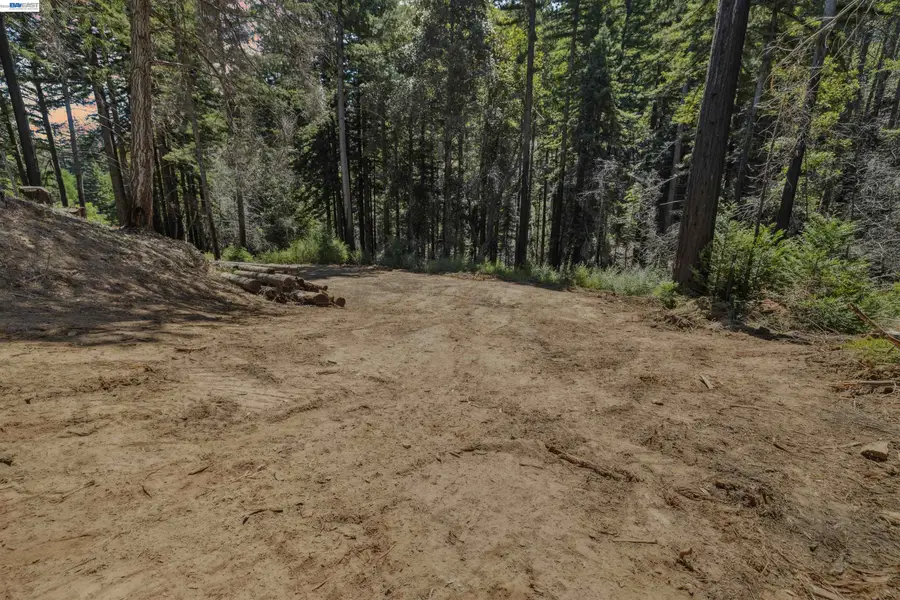 Lot3&6 Branson Rn, Boulder Creek, CA 95006 - #3