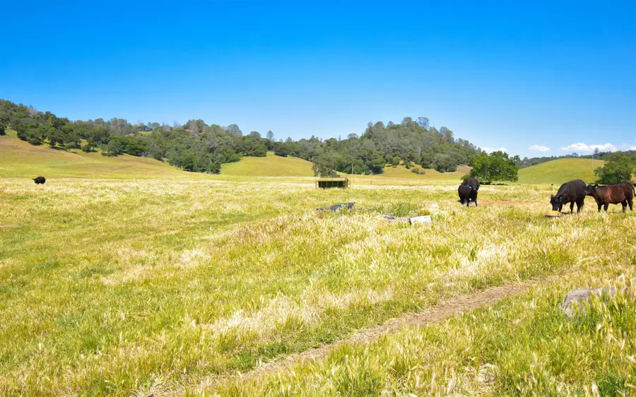 9436 Fraguero, Sonora, CA 95370 - #3