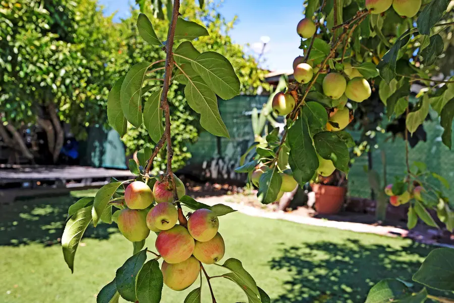 2309 High St, Oakland, CA 94601 - Image #3