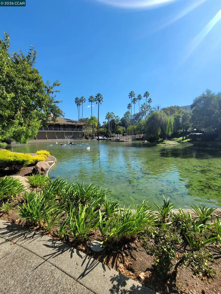 310 N Civic Dr. #315, Walnut Creek, CA 94597 - Image #2