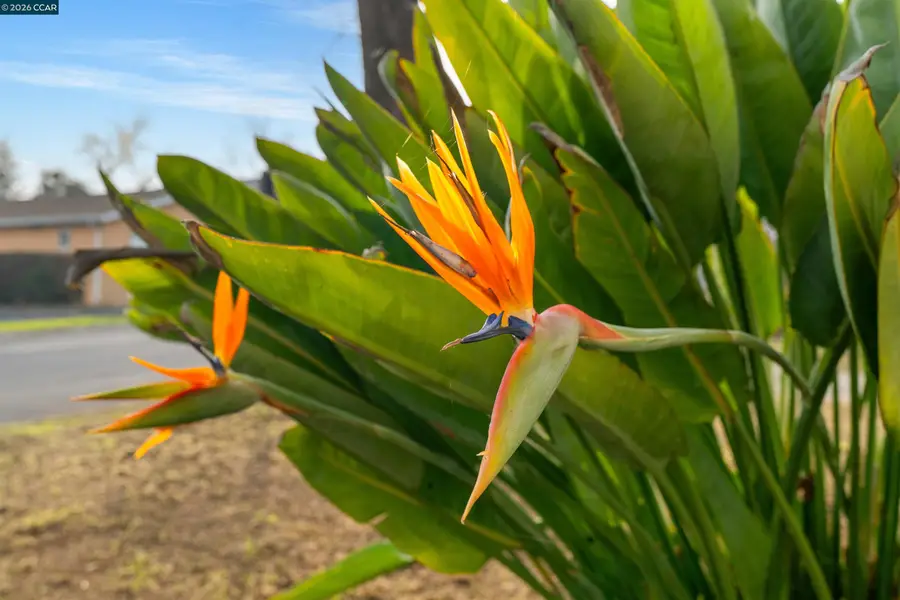 2831 Almond Street, Martinez, CA 94553 - Image #3