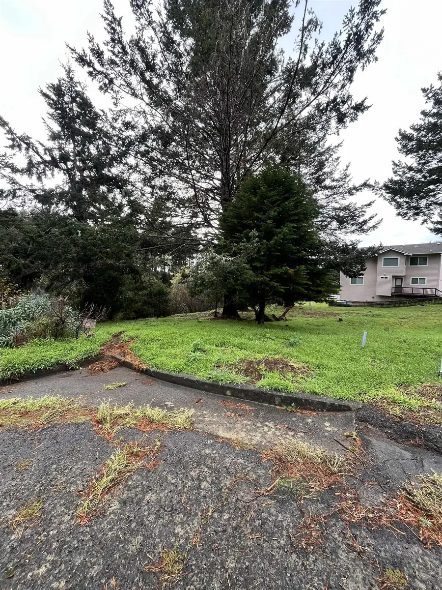 22 Spruce Ct, Whitethorn, CA 95589 - Image #3