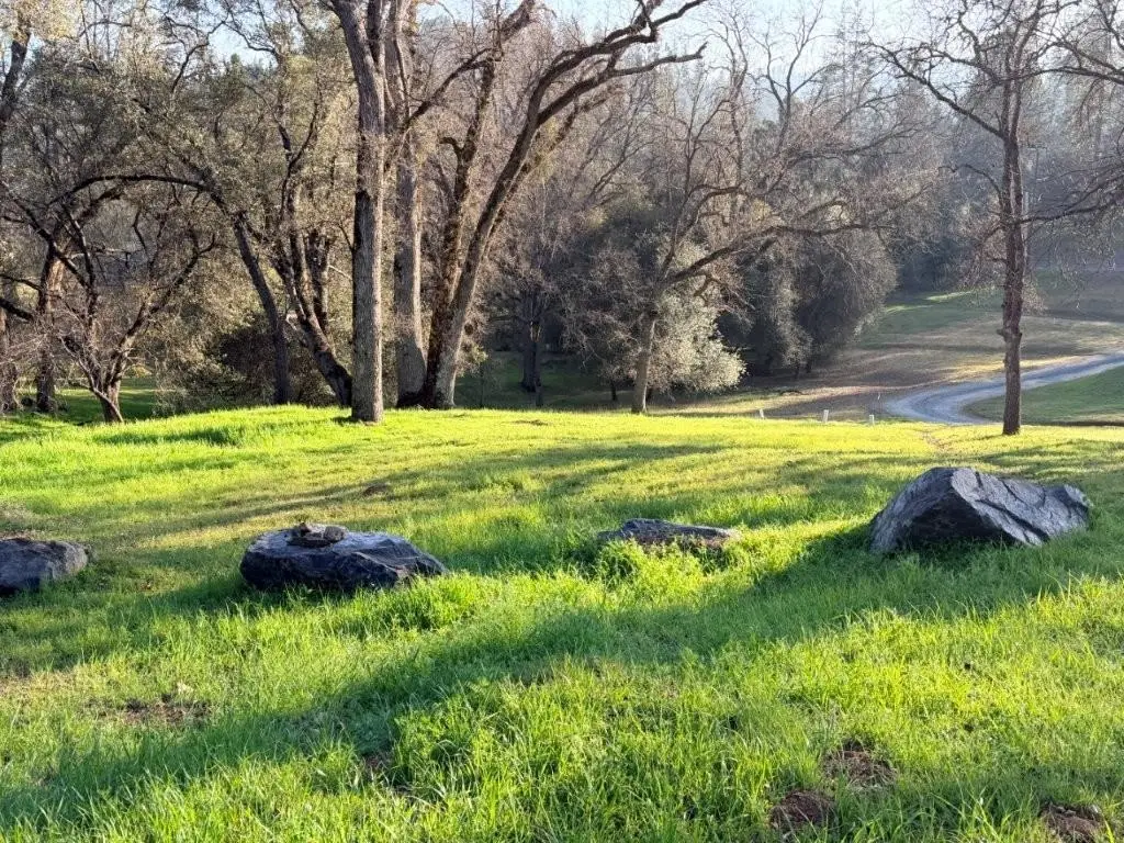 19691 Ferretti Rd, Groveland, CA 95321 - Image #1