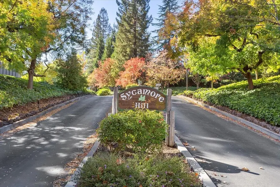 441 Sycamore Hill Dr, Danville, CA 94526 - Image #3