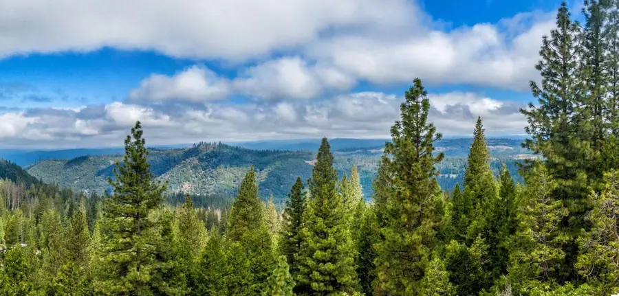 24274 State Highway 108, Mi Wuk Village, CA 95346 - #2