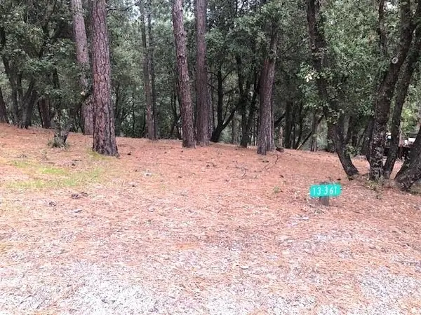 12301 Tower Peak Ct, Groveland, CA 95321