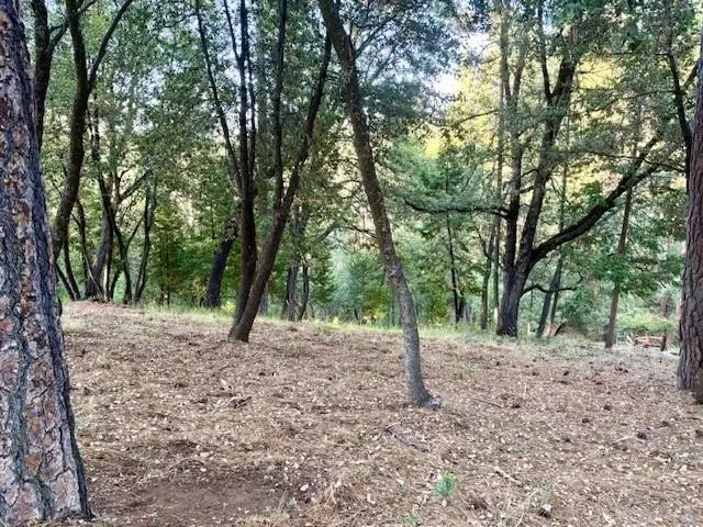 12301 Tower Peak Ct, Groveland, CA 95321 - #2