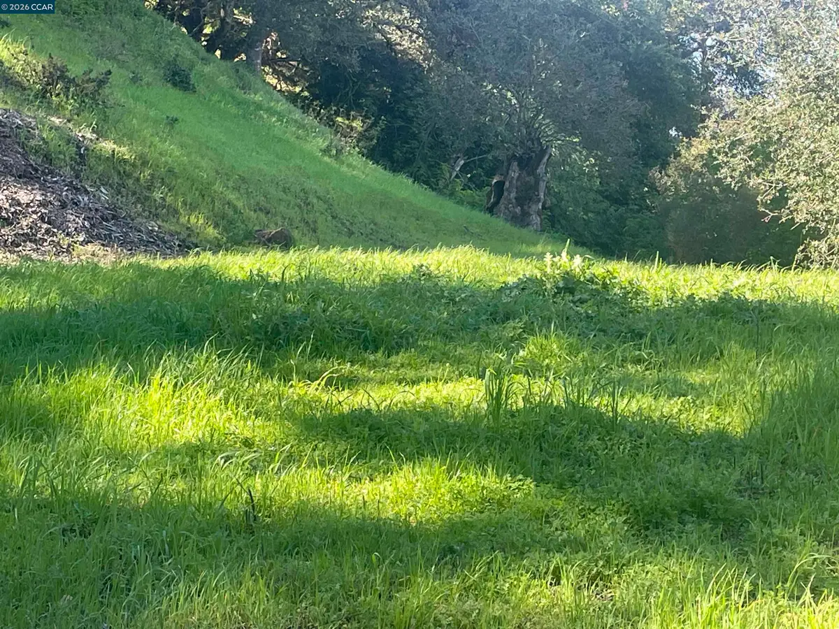 2965 Rohrer Dr, Lafayette, CA 94595 - #1