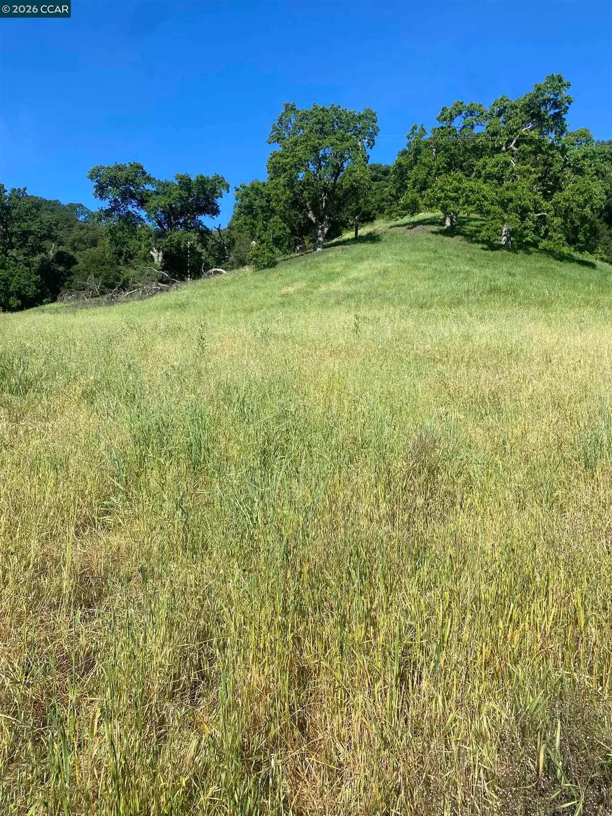Toyon Road, Lafayette, CA 94549 - #1