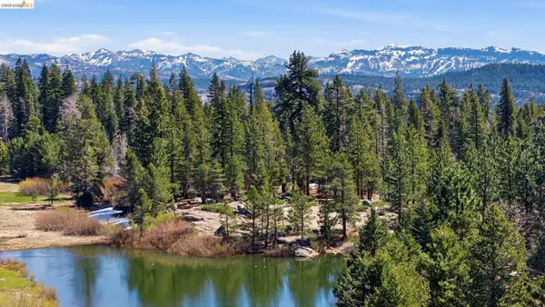 675 Skyline Dr, Arnold, CA 95223