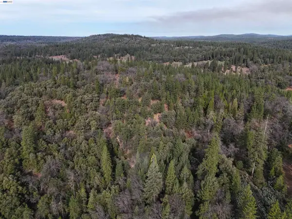 4700 Kelley Pl, Garden Valley, CA 95633