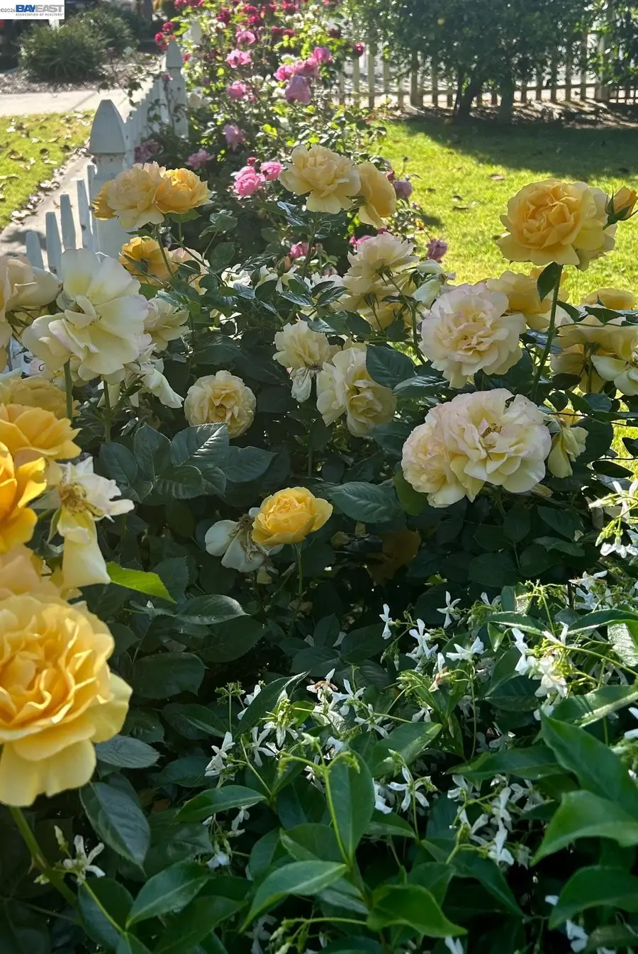 37955 2nd St, Fremont, CA 94536 - #3