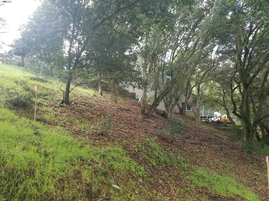 12 Vista Del Orinda, Orinda, CA 94563 - #3