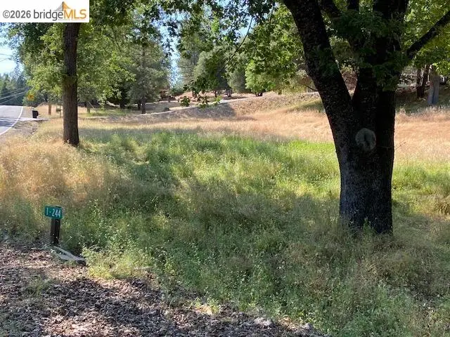 1-244 Pleasant View Dr, Groveland, CA 95321 - #3