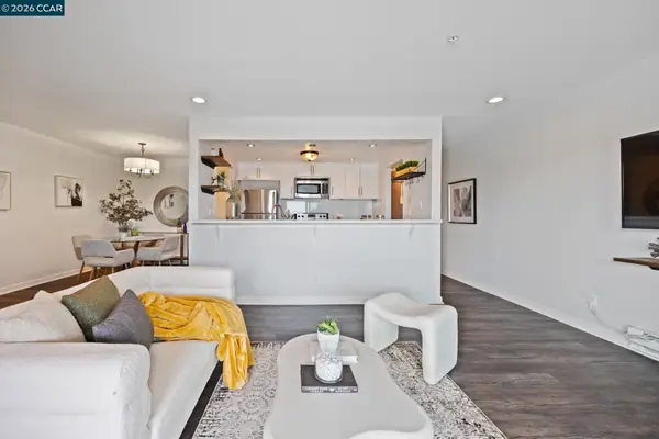 417 Evelyn Avenue #302, Albany, CA 94706