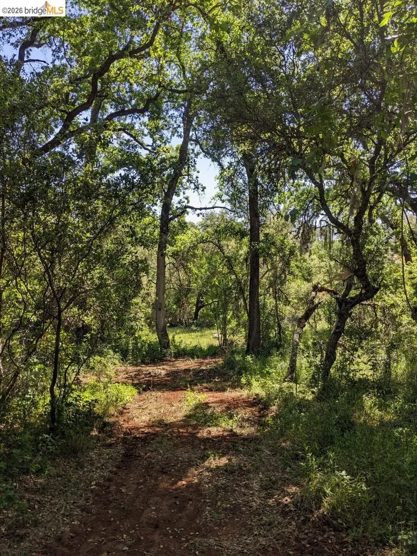 4095 Green Valley Rd, Rescue, CA 95672 - #3