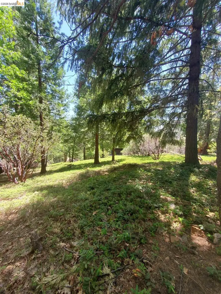 20922 Muheli, Mi Wuk Village, CA 95346 - #2