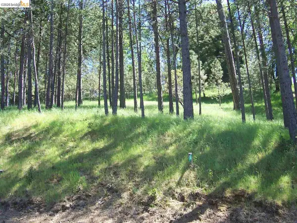 19605 Cottonwood St., Groveland, CA 95321