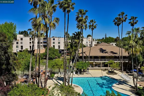 330 N Civic Dr #203, Walnut Creek, CA 94596