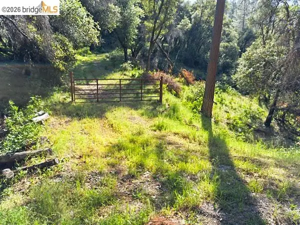 18516 Mastadon Mine Rd, Tuolumne, CA 95379
