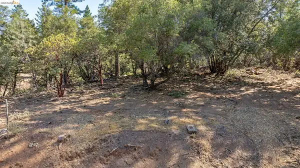 18465 Harper Road, Groveland, CA 95321