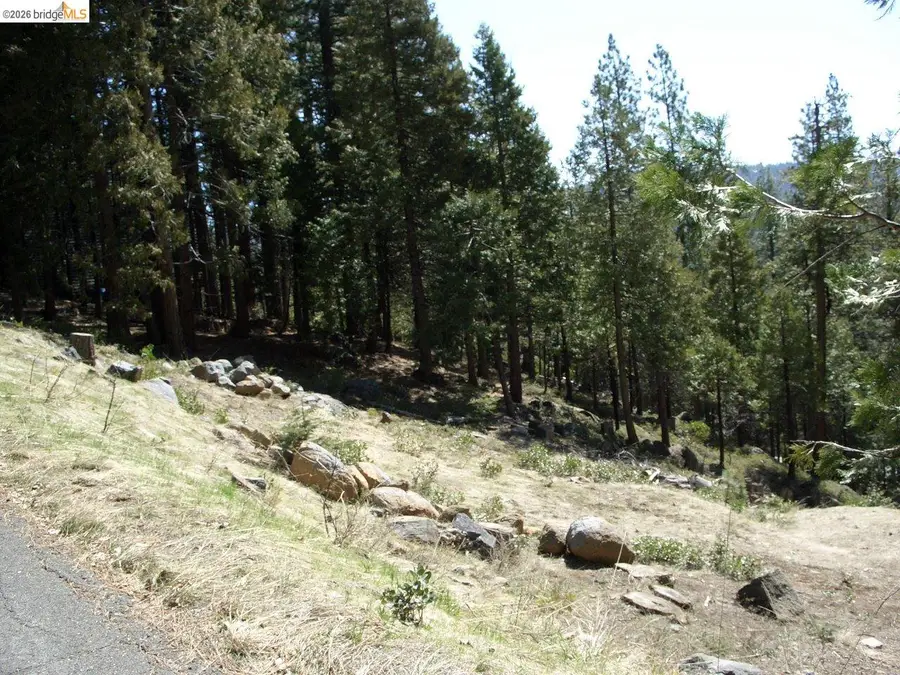 29733 Kerns Drive Lot 441, Cold Springs, CA 95335 - #2
