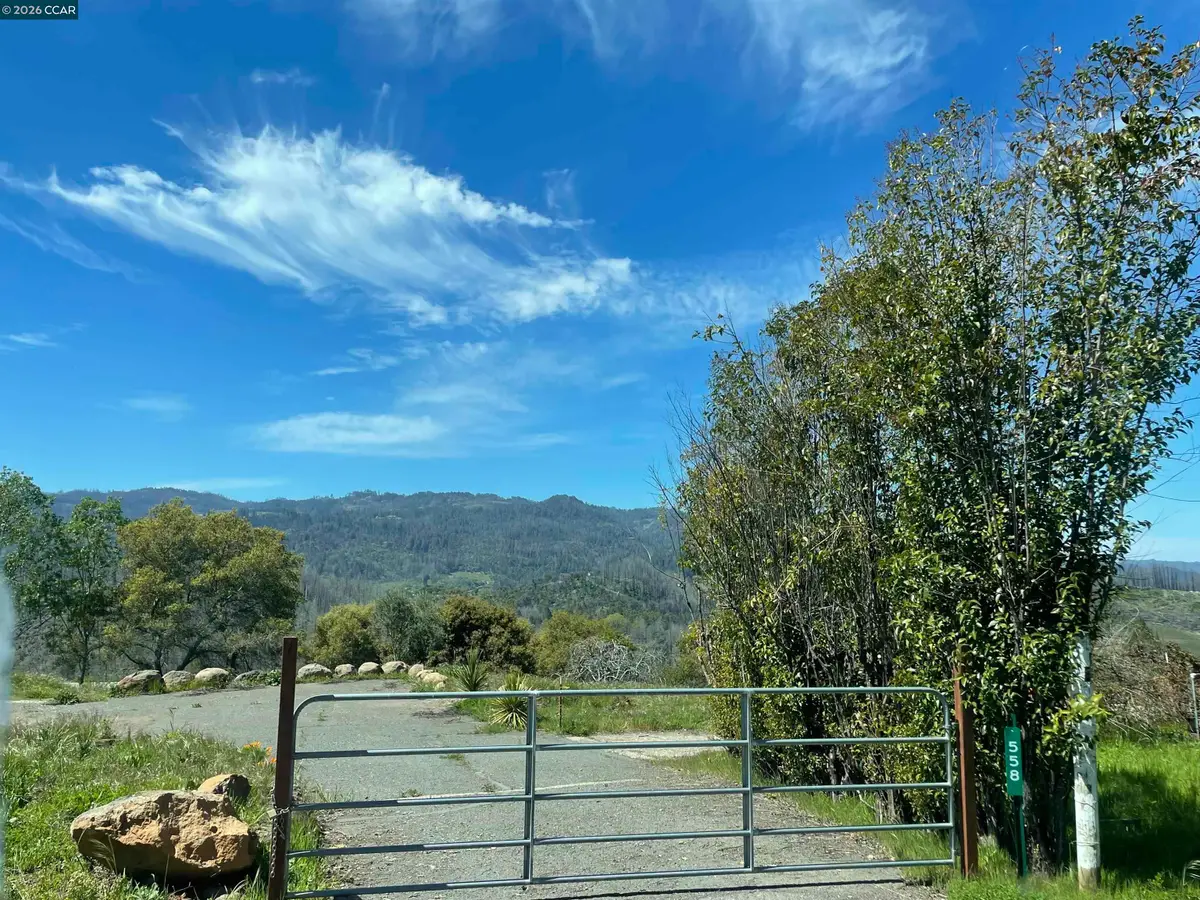 558 Community Hall Ln, Saint Helena, CA 94574 - #1