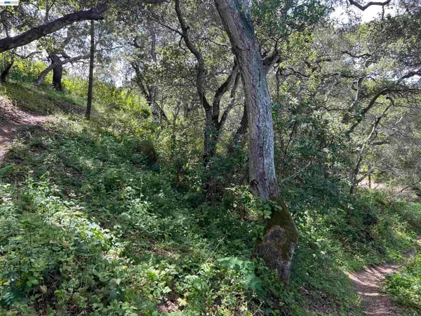 00 Marburger Ave., Belmont, CA 94002