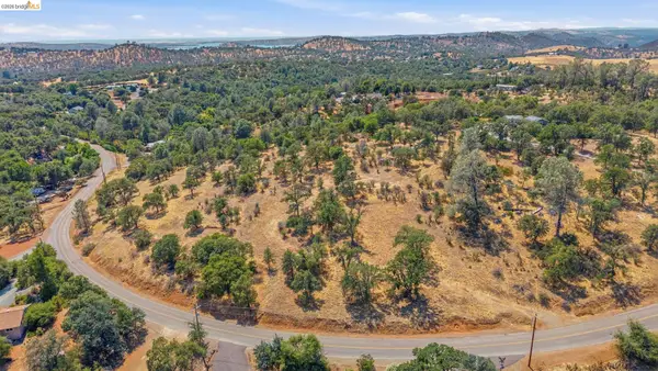 10449 Violetta Way, Coulterville, CA 95311