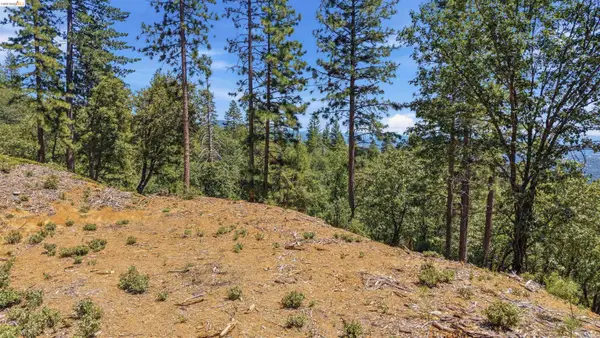 00 Old Oak Ranch Rd, Sonora, CA 95370