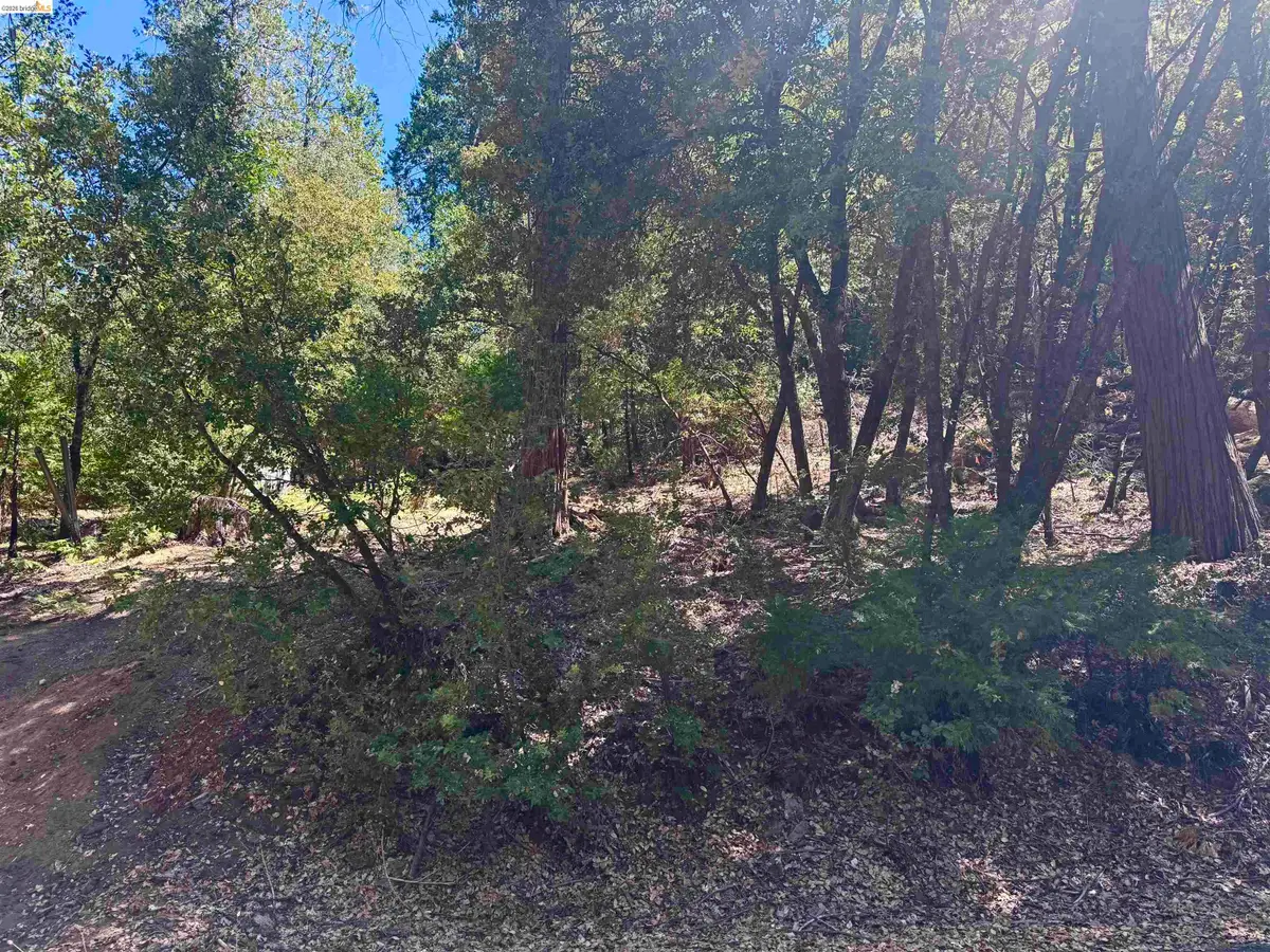 23265 Quail Dr, Twain Harte, CA 95383 - #1
