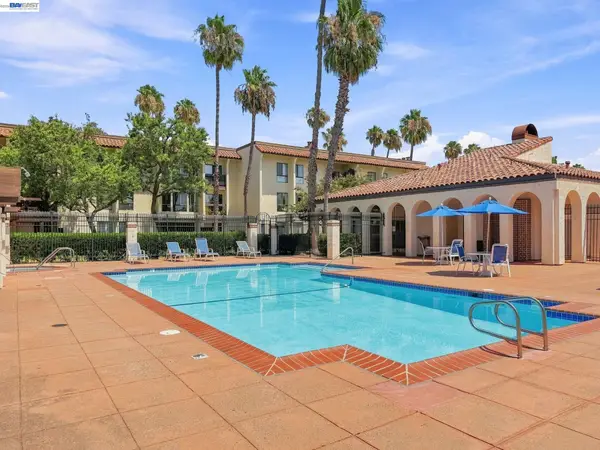 39843 Cedar Blvd #219, Newark, CA 94560