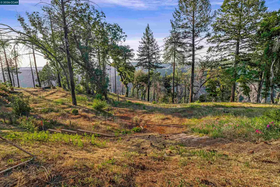 6479 Gregory Ln, Paradise, CA 95969 - #2