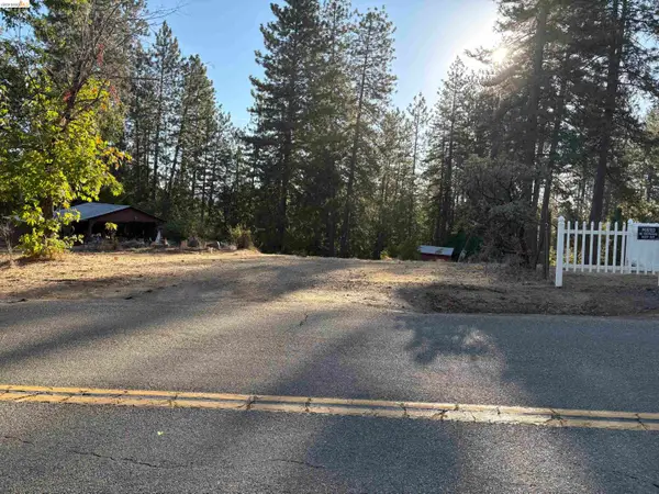 10162 Holtzel Road, Coulterville, CA 95311