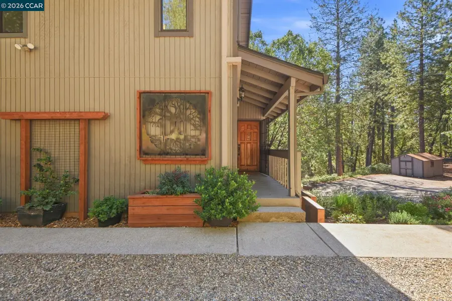1450 Pleasant Ridge Rd, Colfax, CA 95713 - #3