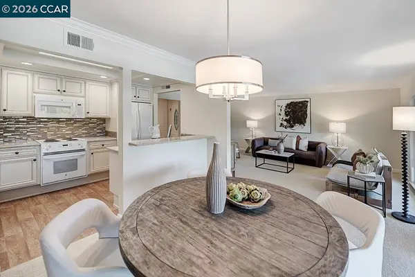 1163 Running Springs #3, Walnut Creek, CA 94595