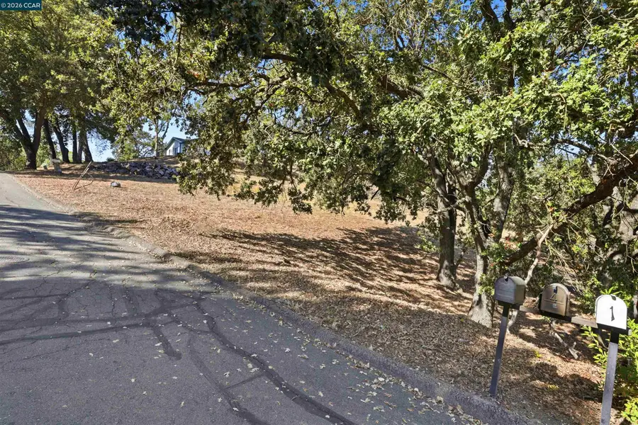 1 Ohlson Ln, Danville, CA 94526 - #3