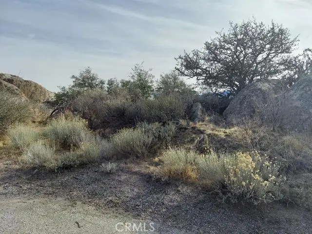 0 Amberwood Court, Tehachapi, CA 93561 - Image #3