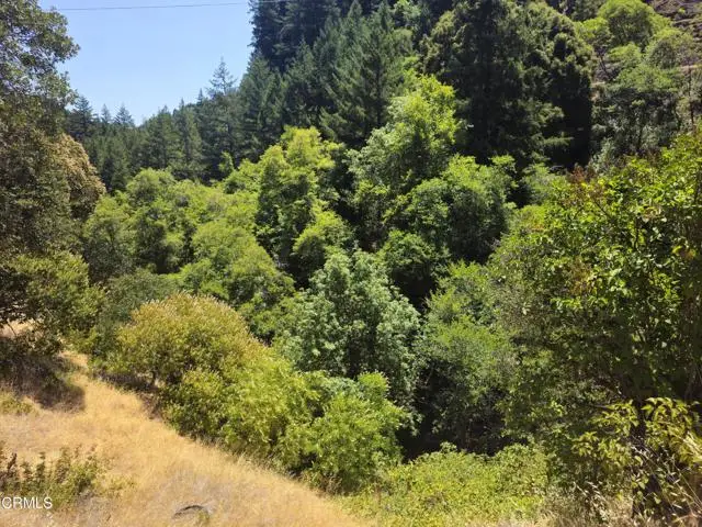 58901 Hwy 101, Leggett, CA 95585 - Image #3